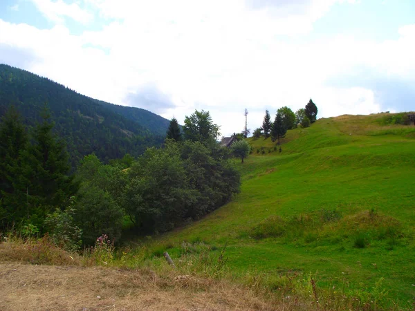 Karpatlar Için Seyahat Dağlar — Stok fotoğraf