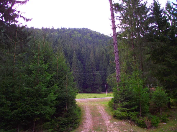 Viaggiare Verso Carpazi Montagne — Foto Stock