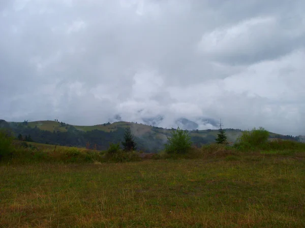 Misty Carpathians Manhã Nas Montanhas — Fotografia de Stock