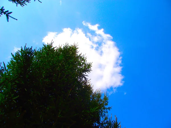 Ciel Nuageux Nuages Dans Ciel Bleu — Photo