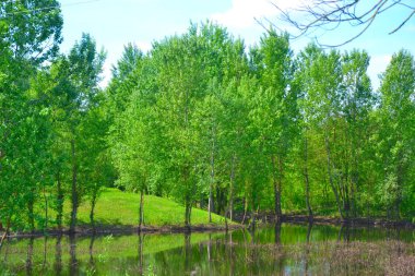 Göl üzerinde. Yeşil bölge,