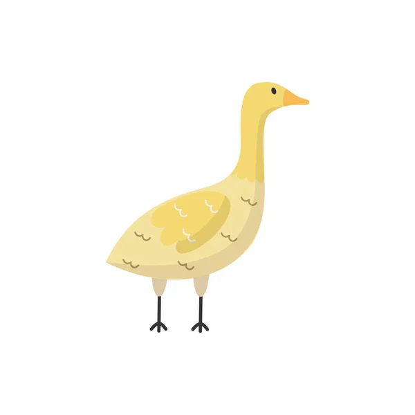 Flat Funny Goose Domestic Bird Icon White Poultry Bird Beak — Stock Vector