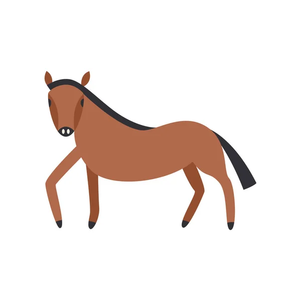 Braunes Pferd in voller Länge isoliert auf weißem Hintergrund. — Stockvektor