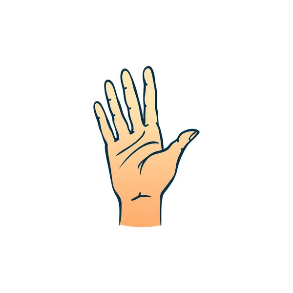 Человеческая рука показывает пять пальцев в стиле эскиза изолированы на белом фоне . — стоковый вектор
