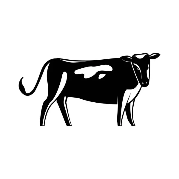 Silueta de vaca manchada monocromática aislada sobre fondo blanco . — Vector de stock