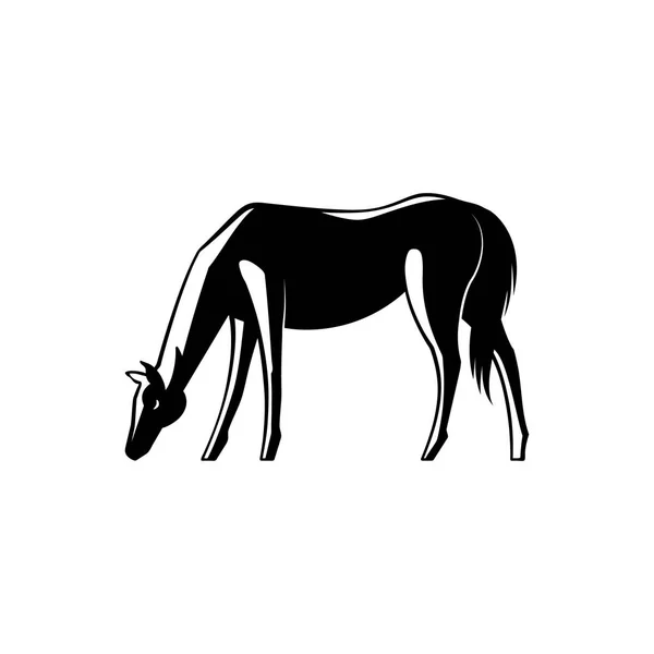 Black and white horse standing sideways with its head down and grazing. — Stock Vector