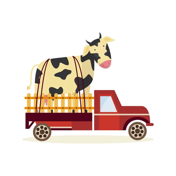 Landwirtschafts- und Landwirtschaftskonzept mit großer Kuh im Rücken des Lastwagens isoliert auf weißem Hintergrund. — Stockvektor
