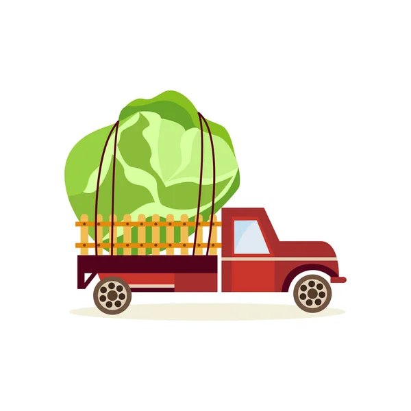 Concepto de cosecha agrícola con gran col en la parte posterior del coche camión aislado sobre fondo blanco . — Vector de stock