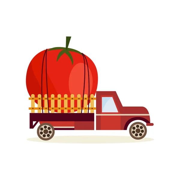 Concepto de cosecha agrícola con gran tomate maduro en la parte trasera del coche camión aislado sobre fondo blanco . — Vector de stock