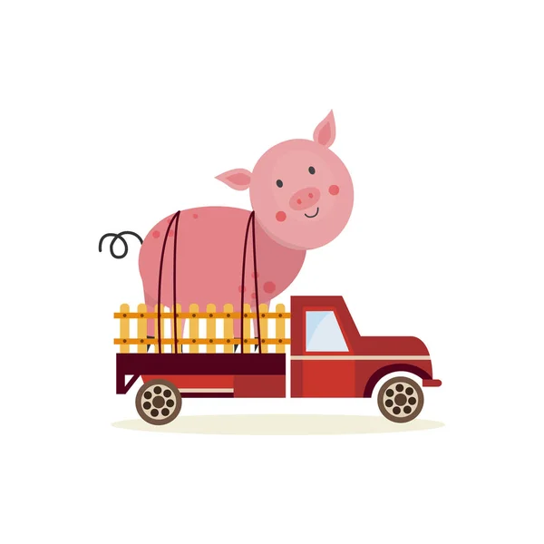 Concept d'agriculture et d'agriculture avec gros cochon à l'arrière du camion isolé sur fond blanc . — Image vectorielle