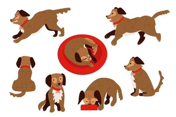 Conjunto de animais de cão plano vetorial —  Vetores de Stock