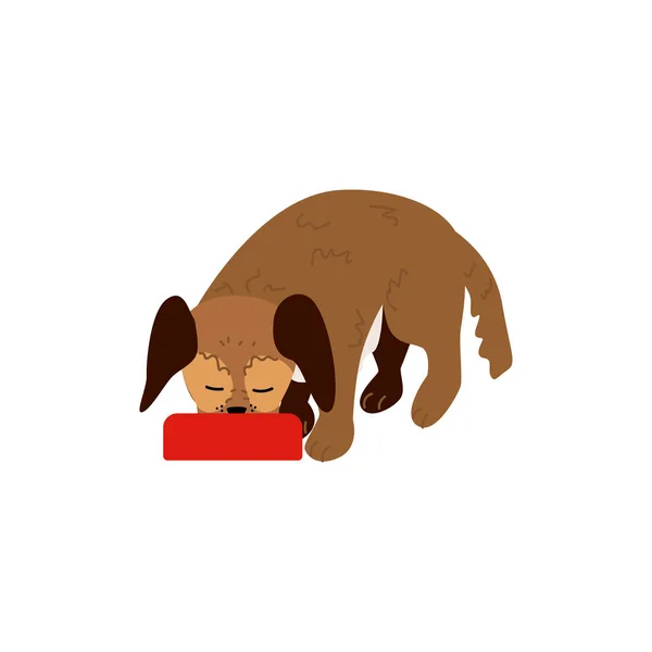 Vektor plochý sdrink miska dog pet ikony — Stockový vektor