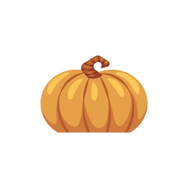 Icono plano de calabaza vectorial ilustración aislada — Archivo Imágenes Vectoriales