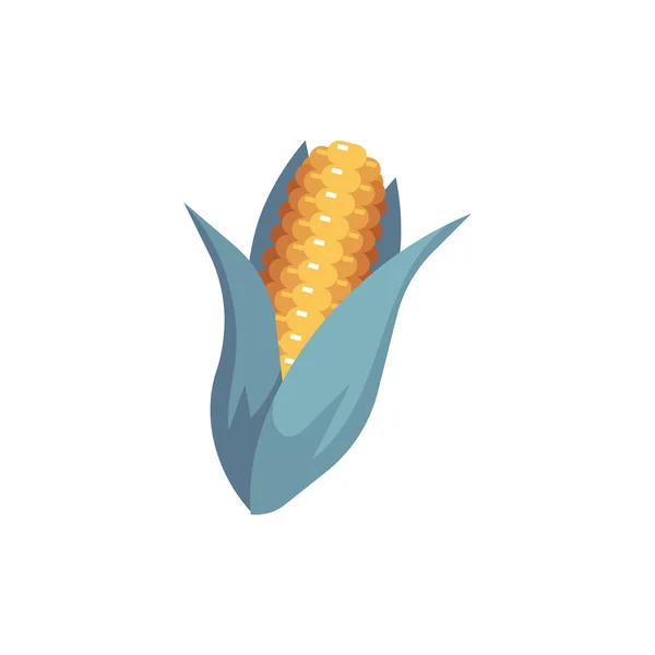 Векторный початок кукурузы — стоковый вектор