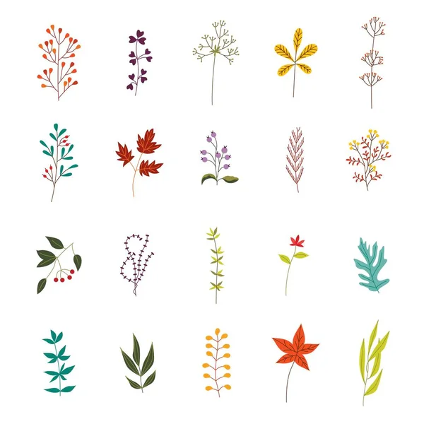 Plantas y hojas de otoño engastadas con diversos elementos decorativos de follaje . — Vector de stock