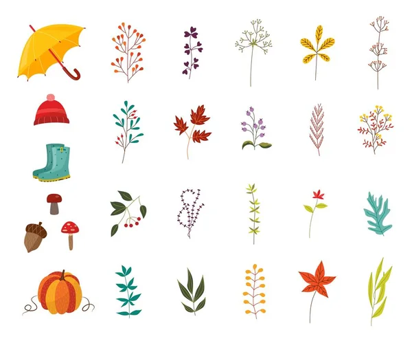 Φθινόπωρο φυτά και ρούχα Αξεσουάρ Σετ με διάφορα φυλλώματα και φορούν διακοσμητικά στοιχεία. — Διανυσματικό Αρχείο