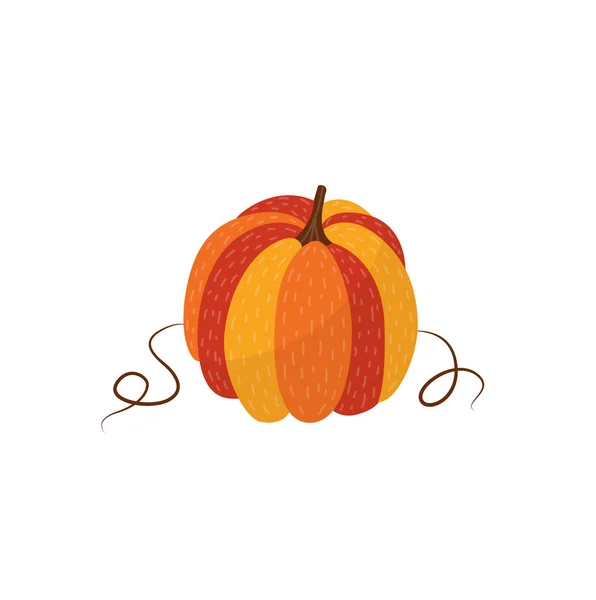 Ripe orange pumpkin - autumn natural element for seasonal design in flat style. — Stock Vector
