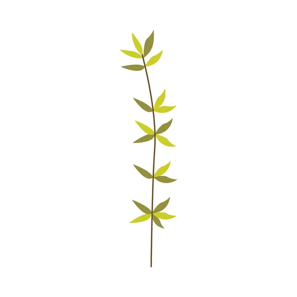 Rama de hojas de planta verde - elemento floral natural para el diseño en estilo plano — Vector de stock