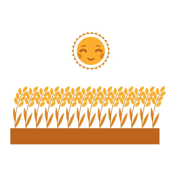 Спелые колосья пшеницы растущие на поле под солнцем изолированы на белом фоне . — стоковый вектор