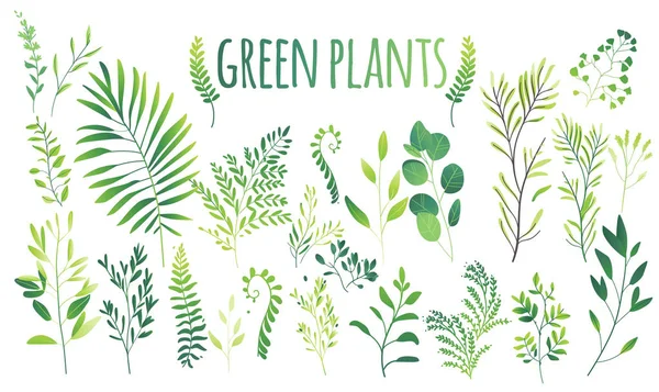Vecteur dessin animé abstrait vert plantes fleur herbes icône ensemble — Image vectorielle