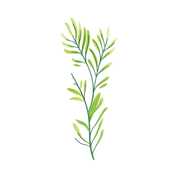 Vektor tecknad abstrakt grön växt icon — Stock vektor