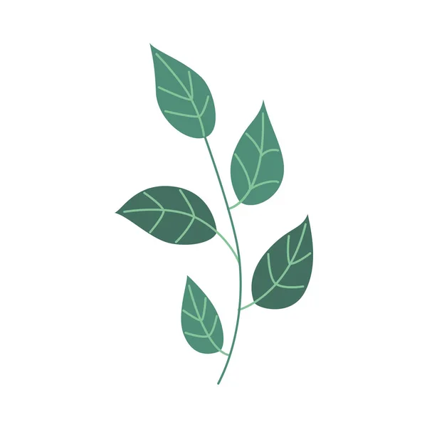 矢量平坦抽象绿色植物图标 — 图库矢量图片