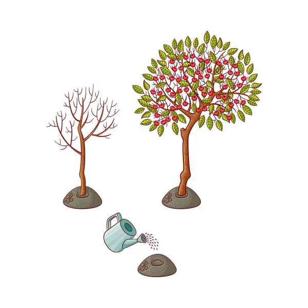 Conjunto de símbolos de etapas de plantación de árboles planos vectoriales — Vector de stock