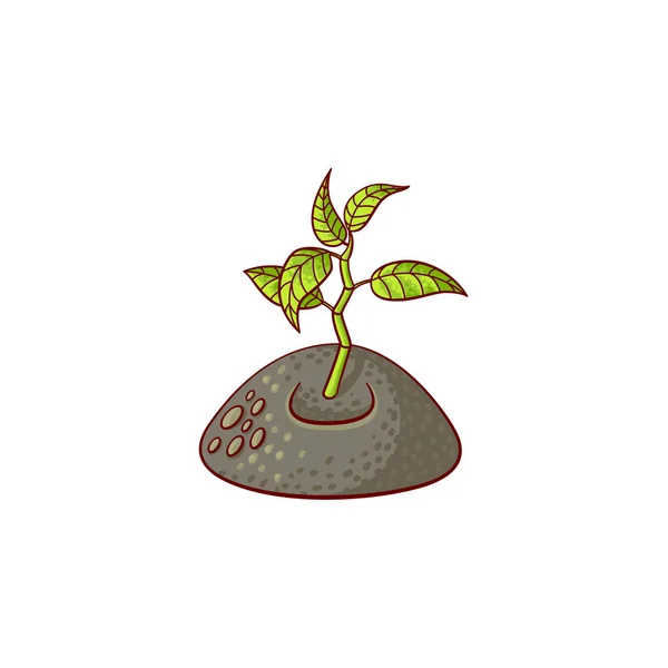 Vetor planta cultivada de sementes plana brotando, ícone de brotação — Vetor de Stock