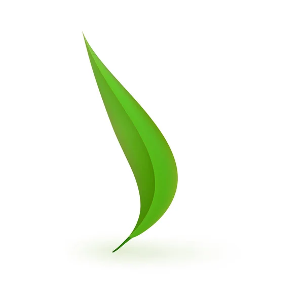 Hoja de planta fresca verde aislada sobre fondo blanco . — Vector de stock