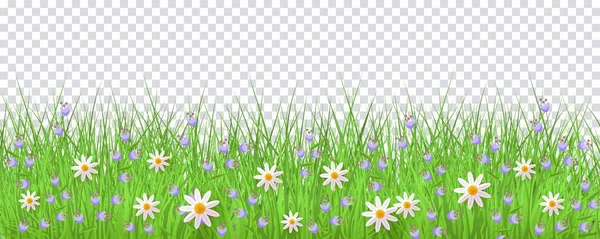 Vector green grass, daisy chamomile border frame — Stock Vector