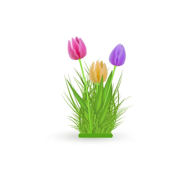 Paquete de tulipán floral de primavera con flores frescas y coloridas sobre hierba verde . — Vector de stock