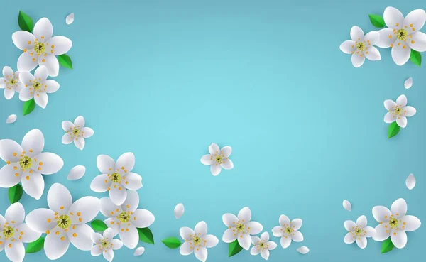 블루 그라데이션 배경 복사 공간에 녹색 잎과 흰색 꽃 봄 또는 여름 배너. — 스톡 벡터