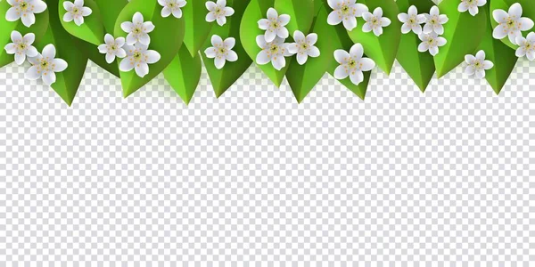 Vector green leaves, flowers frame background — Stock Vector