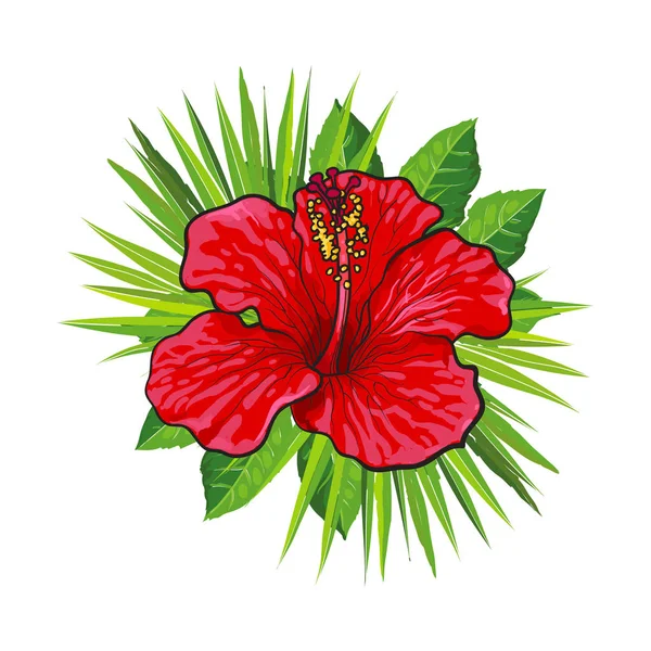 Fleur d'hibiscus rouge vif avec des feuilles de palmier vertes dans le style croquis composition florale tropicale . — Image vectorielle