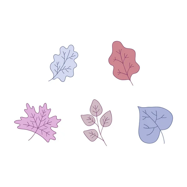 Φυτό φύλλα διανυσματικά εικονογράφηση σετ - πολύχρωμο διακοσμητικά φυλλώματα δέντρων. — Διανυσματικό Αρχείο