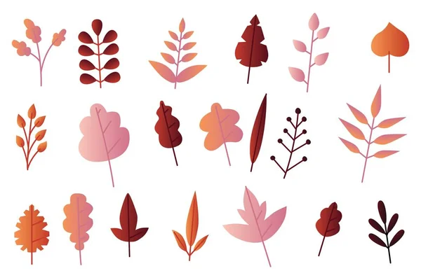 Autumn leaves vector illustration set in flat style isolated on white background. — Stock Vector