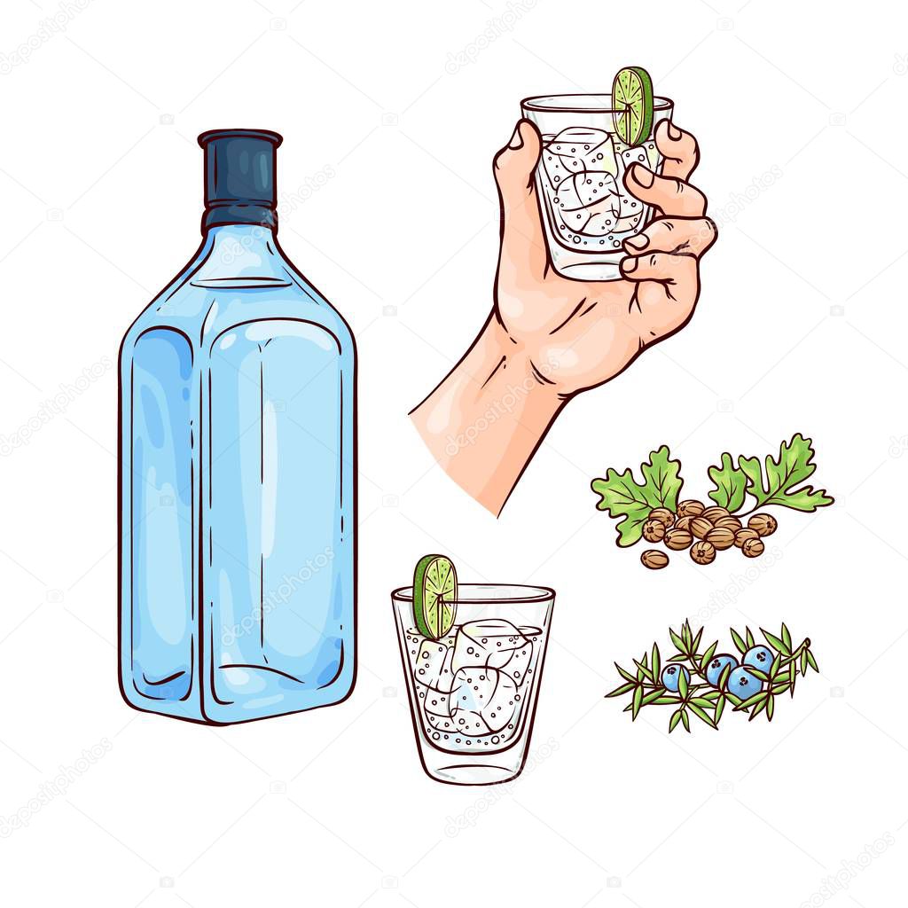 Vector illustration set of gin and tonic cocktail with blue bottle of alcohol drink and mixed beverage in glass with ice cubes and lime slice with ingredients in sketch style isolated on white.