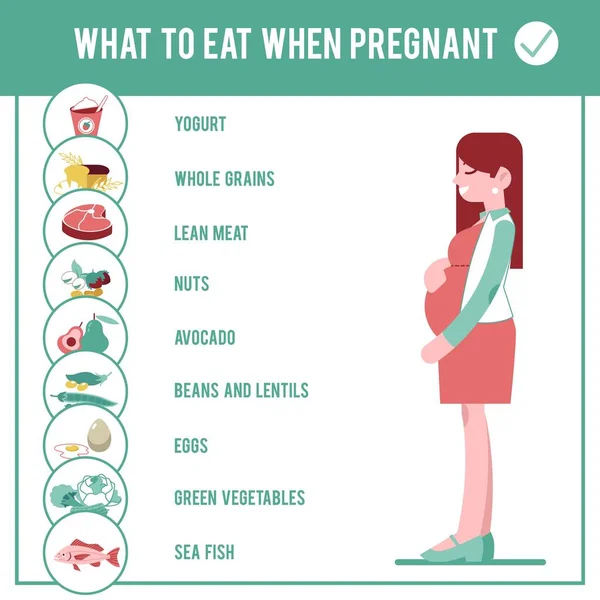 Pregnant woman diet infographic in flat style - pregnancy food guide. — Stock Vector