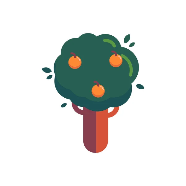 Arbre aux feuilles vertes et aux fruits mûrs orange illustration vectorielle dans un style plat . — Image vectorielle