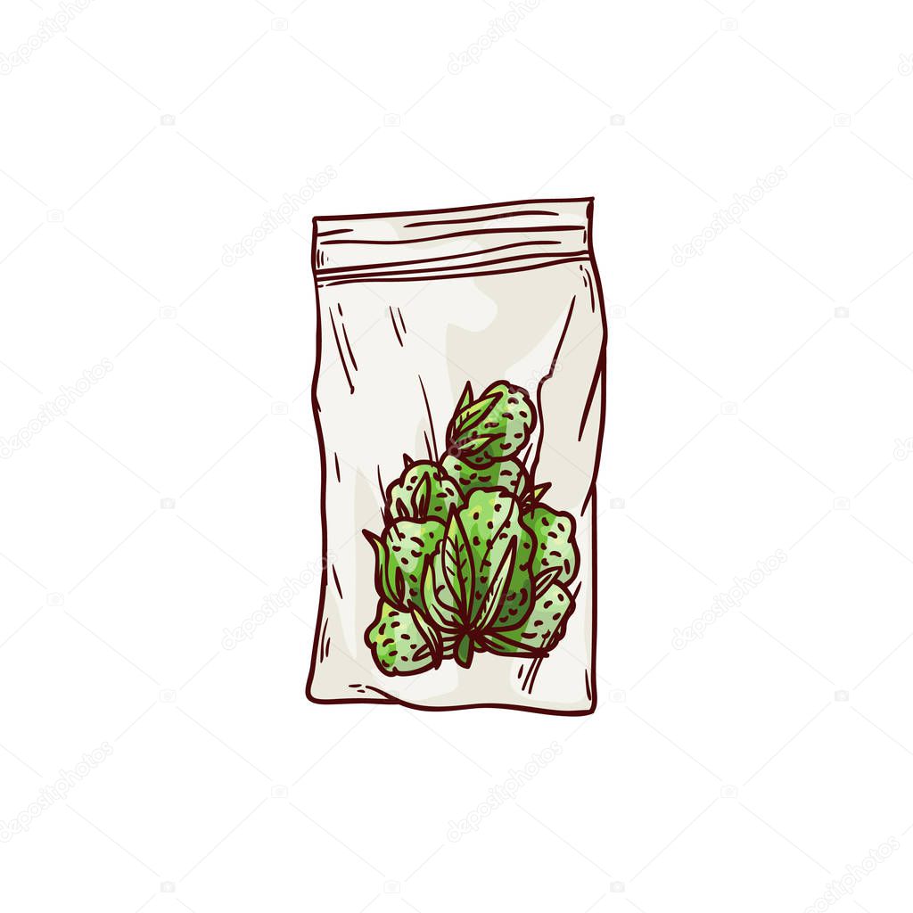 Vector cannabis leaves, green weed, hemp icon