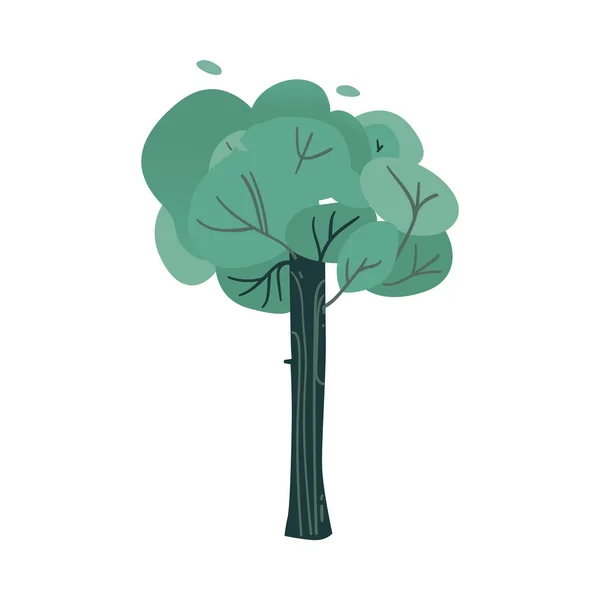 Ilustração vetorial de árvore de fantasia com caule grosso grande - floresta abstrata ou planta de parque . — Vetor de Stock