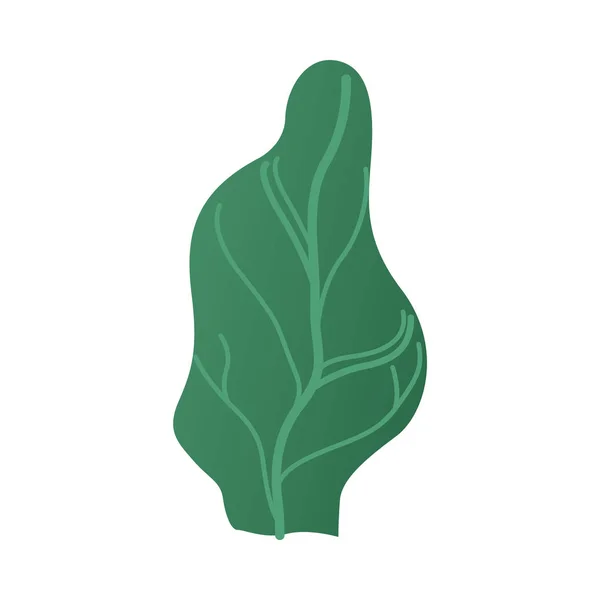 Vector abstracto árbol verde planta icono de dibujos animados — Vector de stock
