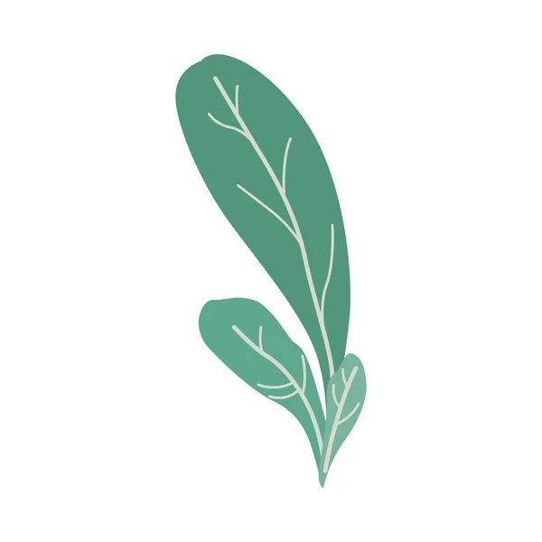 Illustration vectorielle d'une plante fantaisie dans un style dégradé plat tendance - buisson abstrait au feuillage vert . — Image vectorielle