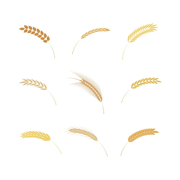 Conjunto de ilustración vectorial de orejas de cereal simples iconos en estilo plano . — Archivo Imágenes Vectoriales