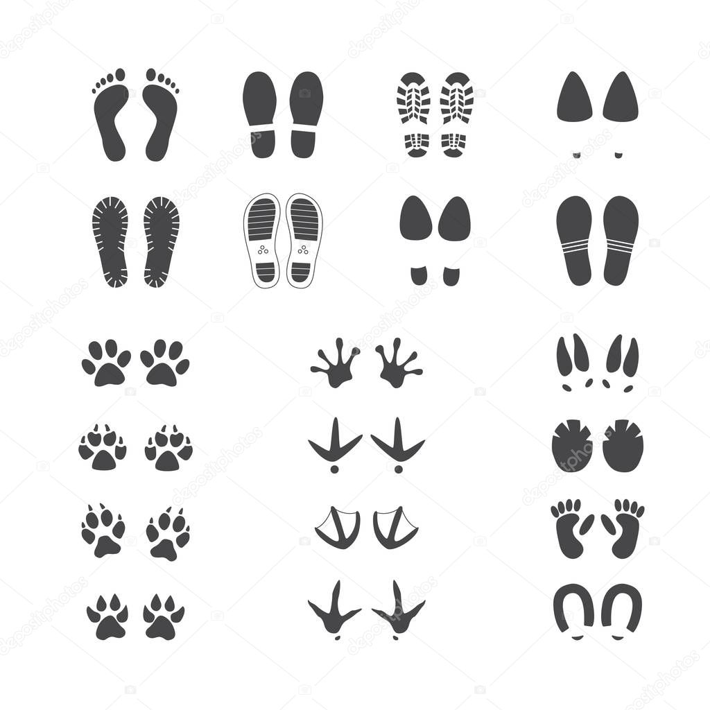 Vector illustration set of different foot and paw tracks of people, wild and domestic animals and birds.