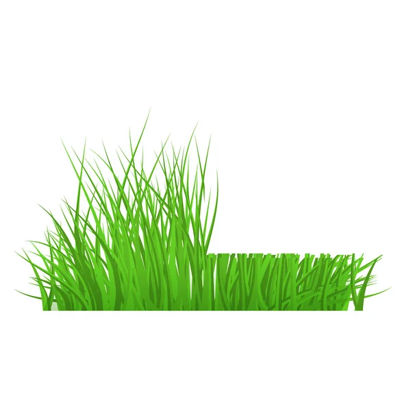 Vector groen gras rand voor zomer landschap — Stockvector