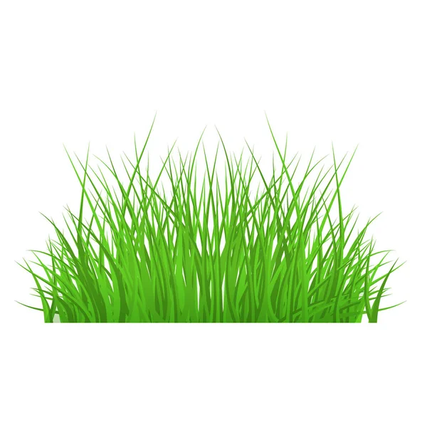 Frontière d'herbe verte vectorielle pour paysage d'été — Image vectorielle