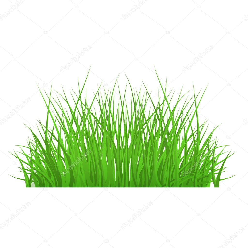 Vector green grass border for summer landscape