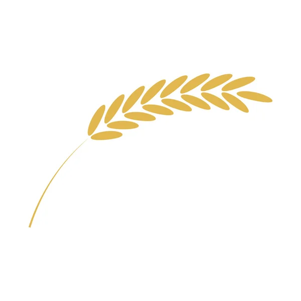 Векторная иллюстрация зерновых ушей простая икона в плоском стиле, выделенная на белом фоне . — стоковый вектор