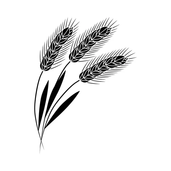 Orecchie di grano vettoriale icona silhouette nera organica — Vettoriale Stock
